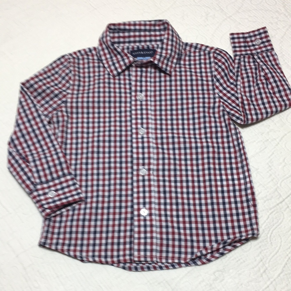 2T (4/$20) Gingham Dress Button-Down by Andy & Evan